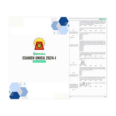 examen-unica-2024-i-pdf